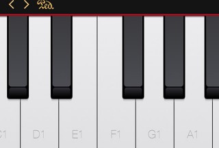 Virtuoso Piano Free 4, Sustain pedal setting