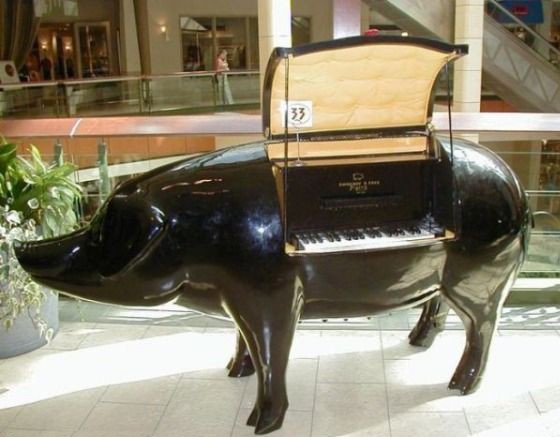 Pig Piano