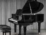 Pianovers Talents 2019, Grand Piano